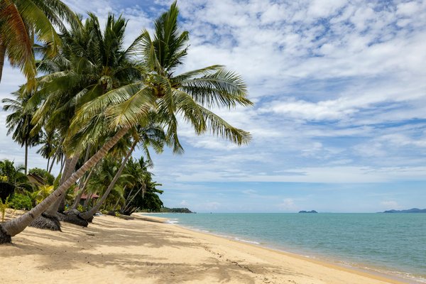 L'architecture et le design des navires de croisière